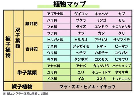 中性植物|中性植物(チュウセイショクブツ)とは？ 意味や使い方